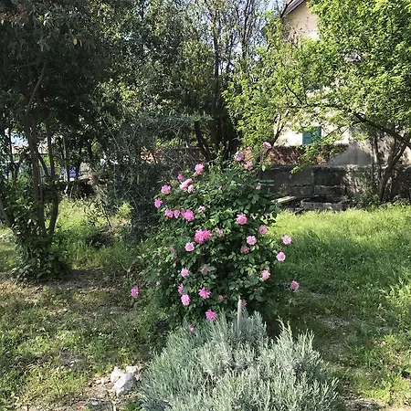 Luxury Valentina * Spalato